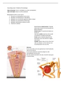 Week 1 Medische Microbiologie samenvatting