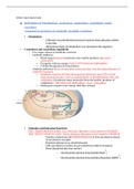 Summary  MICROBIOLO BIOS 242 _ Week3 Quiz Study Guide