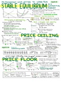 Principles of Microeconomics (ECO 201) Lecture Notes (Pt. 3 of 3) PDF