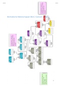 BMW Genoom Deel 2 - HC samenvatting DNA  Analysetechnieken