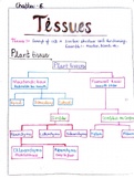 CLASS 9 BIOLOGY TISSUES HANDWRITTEN NOTES