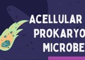 Chapter 4 -  Acellular and Prokaryotic Microbes