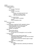 Lecture Chapter 18 - Cardiovascular System (Part 2)