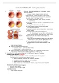 PATHOPHISIOLOGY  exam 2– CV, Resp, Musculoskeletal