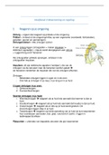 Thema 4  Waarneming en regeling