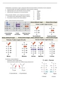 Carbohydrates and Lipids