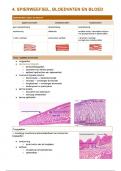 Samenvatting practica -  Celbiologie partim histologie en cytologie (deel B)