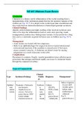 NR 602 Midterm Exam Review / NR602 Midterm Exam Review (NEWEST, 2021) : Chamberlain College of Nursing (Download to score A)