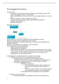 Samenvatting GROOT WORDEN, ISBN: 9789020983579  Wereldleraarschap: taak van de leerkracht (S1)