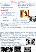 tumores benignos pulmonares