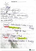  IGCSE Biology - Comprehensive Notes on Animal and Plant Kingdoms