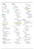 Beknopte schema's personen- en familierecht (2023-2024)