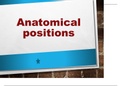 Anatomical Position | Directional terms  | Human anatomy terminology