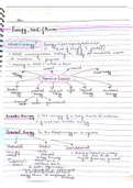 O Level GCSE Physics - Energy , Work & Power