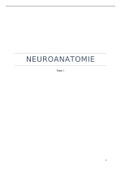 Neuroanatomie: Neurofysiologie + Neuro-otogenese (YO1234)