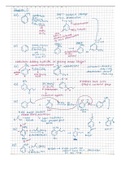 EXAM 2 BUNDLE-- Organic Chemistry 2 CHEM 2313