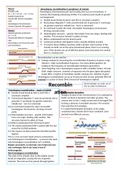 Genomes and recombination 