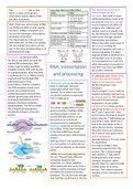 Introduction to Genetics