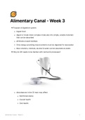 Alimentary Canal