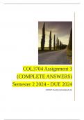 COL3704 Assignment 3 (COMPLETE ANSWERS) Semester 2 2024 - DUE 2024