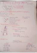 Best Class notes Biology  : anatomy of flowering plants 