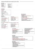 SPSS summary with formulas, mnemonics and pictures - Experimental Research Methods (424534-B-5)