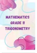 Grade 12 Trial Combo(Trigonometry, Hardware and Chemistry)