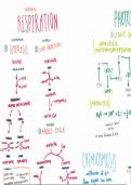 A-level OCR Biology A - Respiration and Photosynthesis Summary side by side