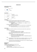 Samenvatting biochemie deel 1