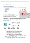 DEVELOPMENT BIOLOGY & GENETICS - Lectures Part 1