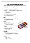 College aantekeningen microbiologie en plaque Nieuw curriculum