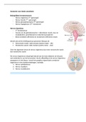 Anatomie voor lokale anesthesie