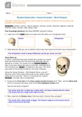 GIZMO  Student Exploration: Human Evolution - Skull Analysis