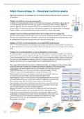 Introducing Physical Geography H2 (weer & klimaat, college 2) 