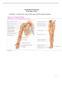 NR304 / NR 304 Exam 1  Study Guide (Latest 2021/2022): Health Assessment II - Chamberlain College of Nursing.