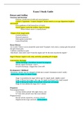 NR304 / NR 304 Exam 2 Study Guide (Latest 2021 / 2022): Health Assessment II - Chamberlain College Of Nursing.