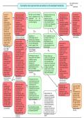 argument map, extra opdracht bij biologische grondslagen: evolutie