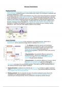 OCR -A, A-level Biology Notes: Neuronal Communication