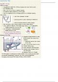 BSCI207 Evolutionary Trees