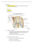 Health Assessment Midterm complete guide.docx