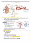 Renal Failure