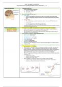 Neurological Complications: Intracranial Pressure Regulation Problems and Acute Head Injury