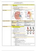 Kidney Failure