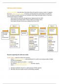 multi store model of memory 