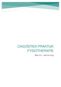 Praktijk Fysiotherapie - Casuïstiek (blok 2.2)