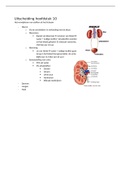 biologie hoofdstuk 10 uitscheiding