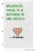 Valoración inicial de la asistencia en una urgencia 