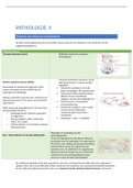 Samenvatting pathologie 4