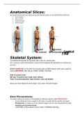 Body systems intro