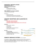 Introduction to peripheral nervous system 